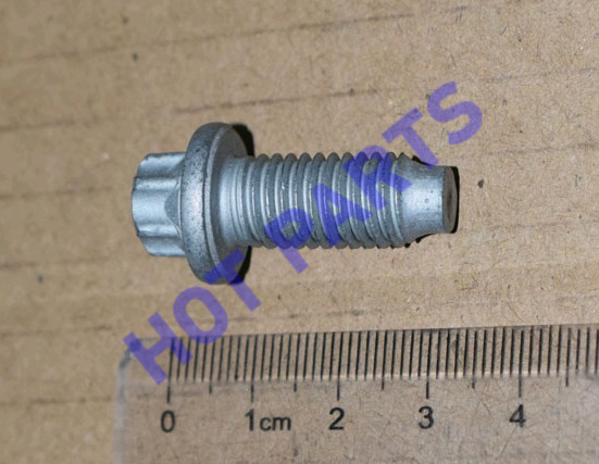 картинка SCREW, OUTER, TORX, WITH FLANGE  202000169AA