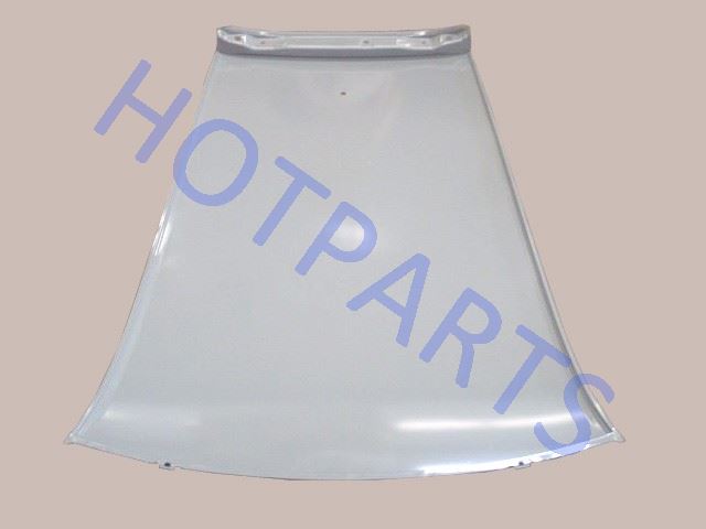 картинка ПАНЕЛЬ КРЫШИ FLORID  5701011-S08